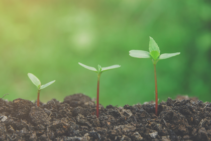 2024 SDR sustainability regulations: Key dates and requirements