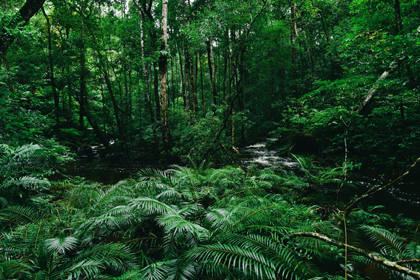 Strengthening biodiversity policies before COP16